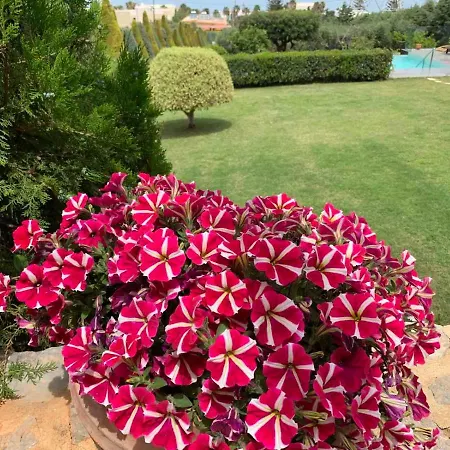 Golden Crest Villa Hersonissos (Crete)